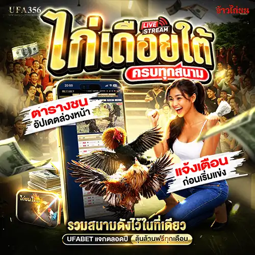 ดูไก่ชนสด ถ่ายทอดสดทุกสนาม ดูไก่เดือยสด อัปเดตทุกวัน