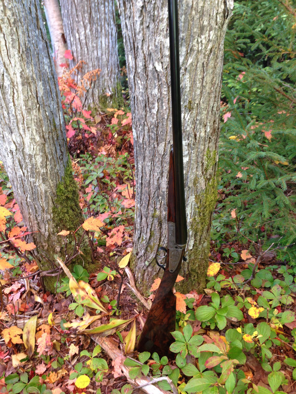 E40CBB61-6720-4EAE-9999-AD126A956736