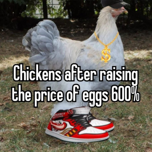 thumbs-picdump926-01.jpg