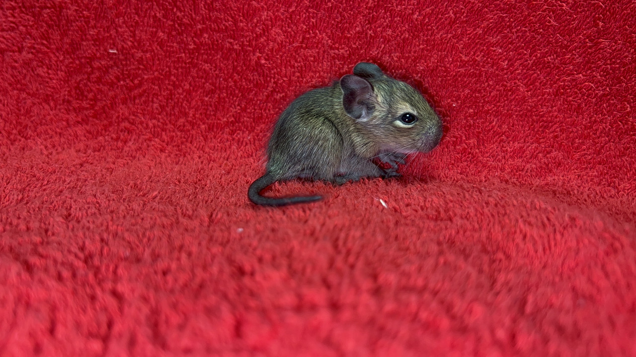 3E00C89B-7B82-4B25-99B3-98BE265A782E