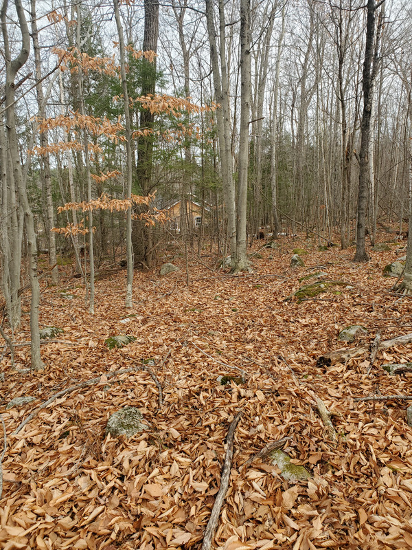 20201107_130617
