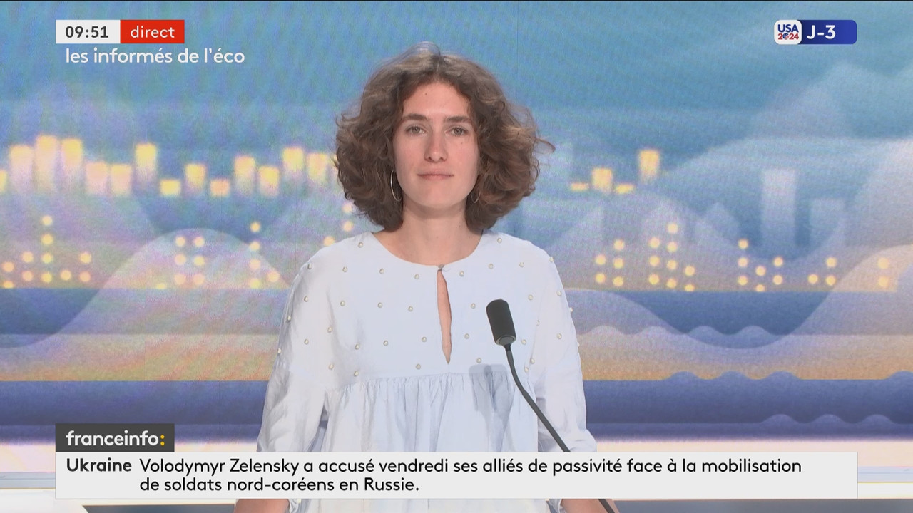 Les informés de l'éco (Franceinfo)_2024_11_02_08_36_59.ts_snapshot_15.36.574