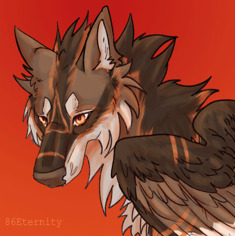 Kodoggy-gift-res.gif