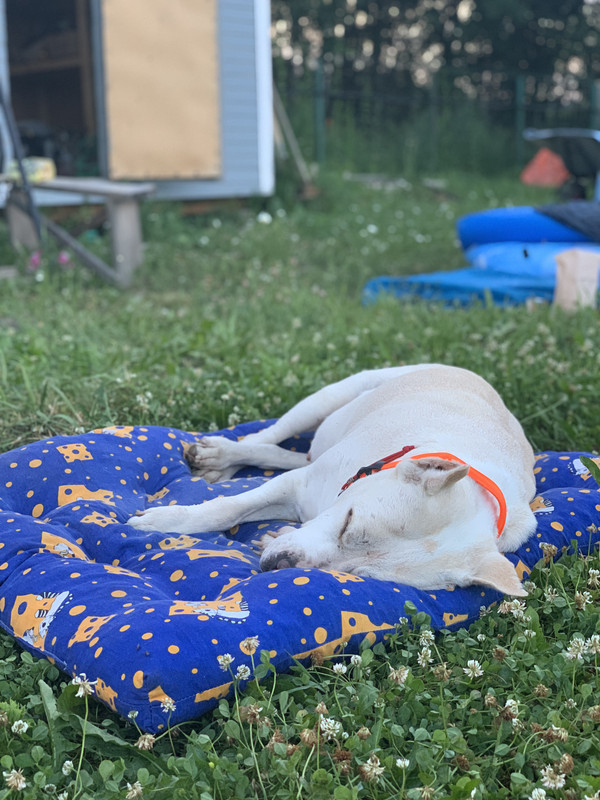 1000C806-7A52-4680-903D-BF40CF192928