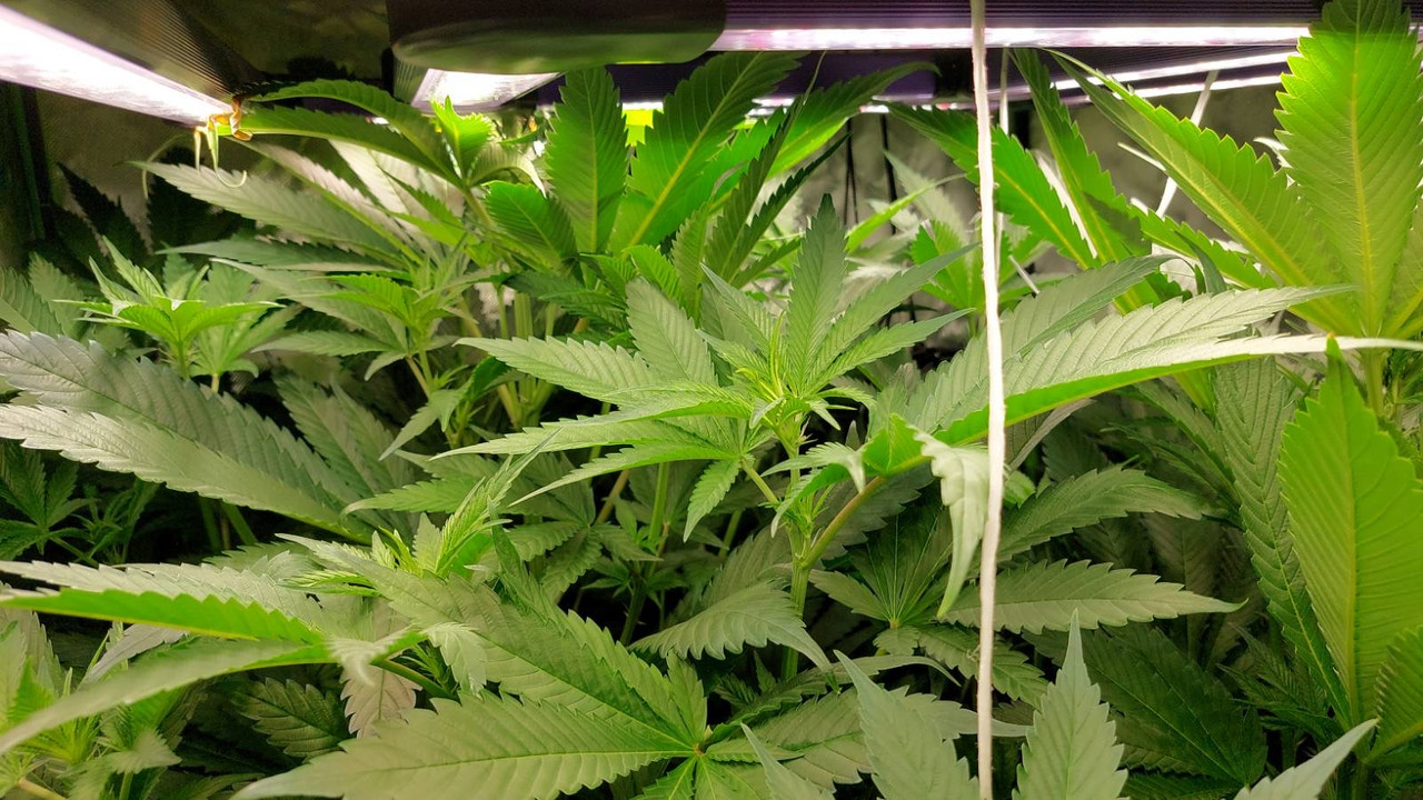 972938DA-C563-48ED-9112-0AB8562F95A6