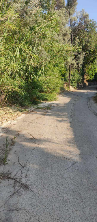 ΚΑΤΑΓΓΕΛΙΑ ΠΟΛΙΤΗ ΓΙΑ ΕΠΙΚΙΝΔΥΝΗ ΒΛΑΣΤΗΣΗ ΚΑΙ ΑΚΑΘΑΡΙΣΤΑ ΟΙΚΟΠΕΔΑ ΣΤΗΝ ΚΑΡΔΑΜΑΔΑ