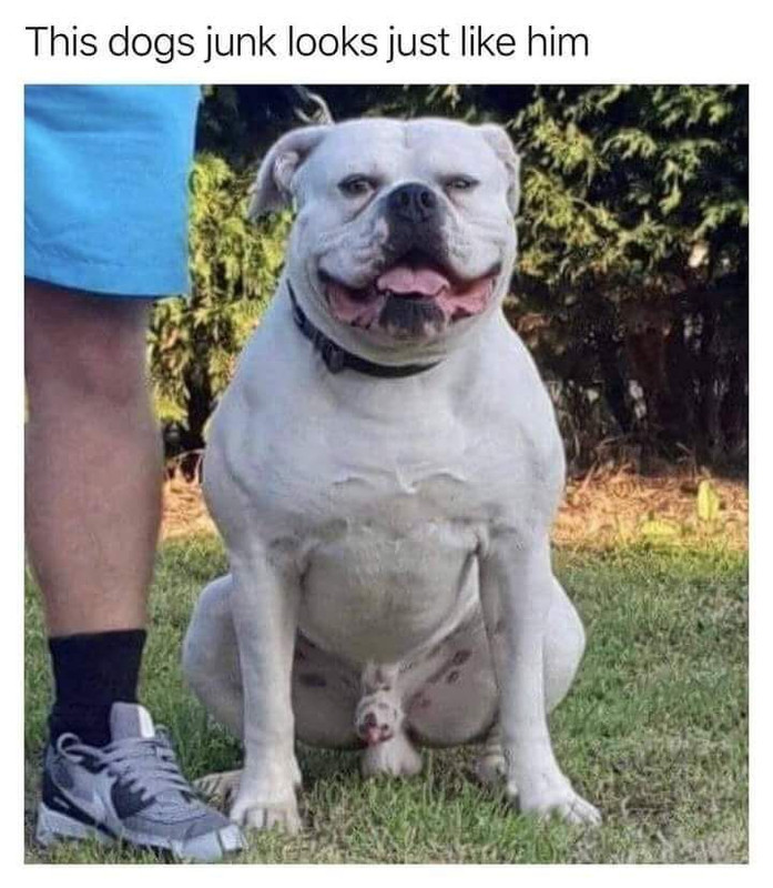 OxdNZYg.jpg