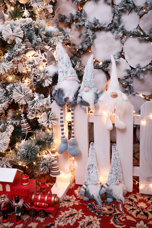 img_11_1639574021229