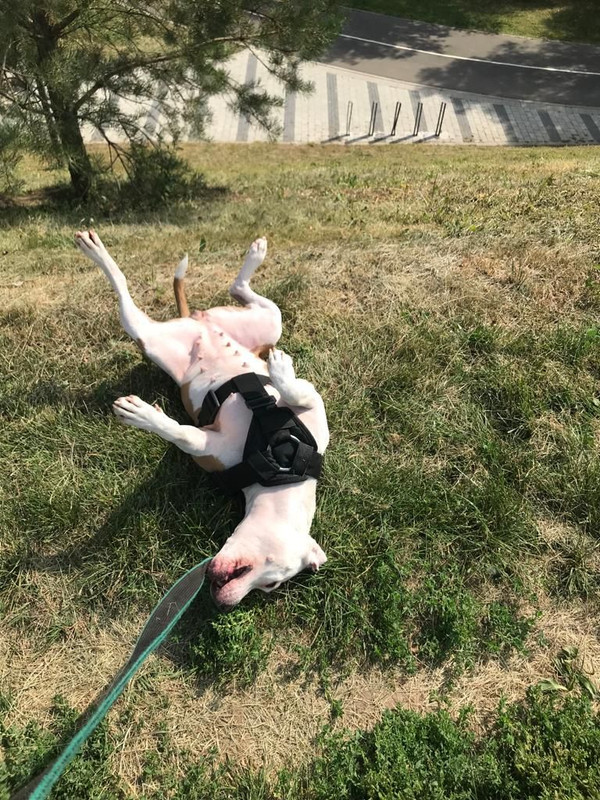 829C0D9E-2B57-4BAC-86C0-F4678319CC38