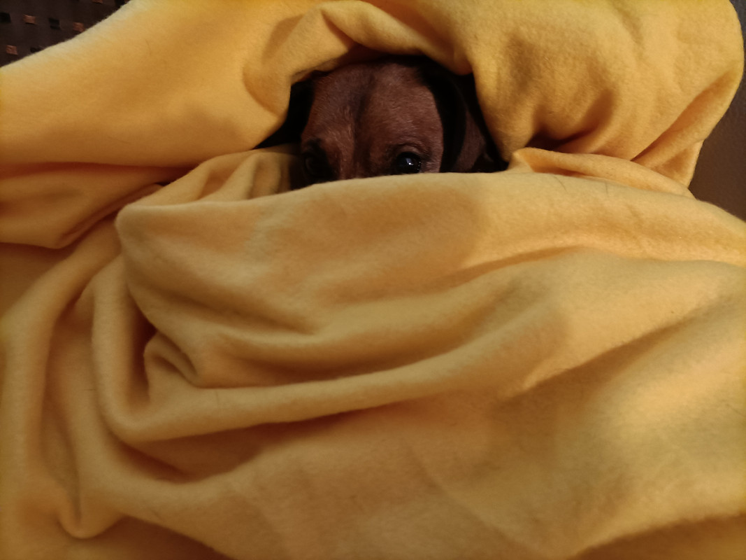 [Image: IMG20211001194936.jpg]