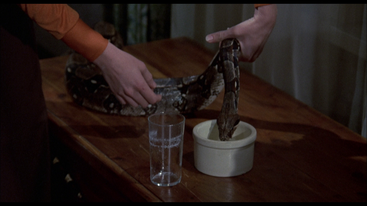 vlcsnap-2022-06-19-23h20m36s823