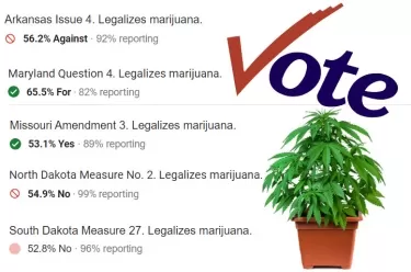 3743-q07-U-marijuanalegalizationballots.webp