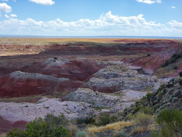 [Image: 20240814AZPaited-Desert.jpg]