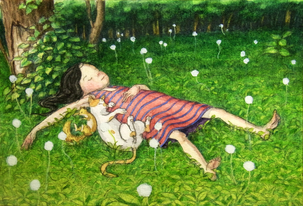 a-bed-of-dandelion-by-perodog-d32cg5g