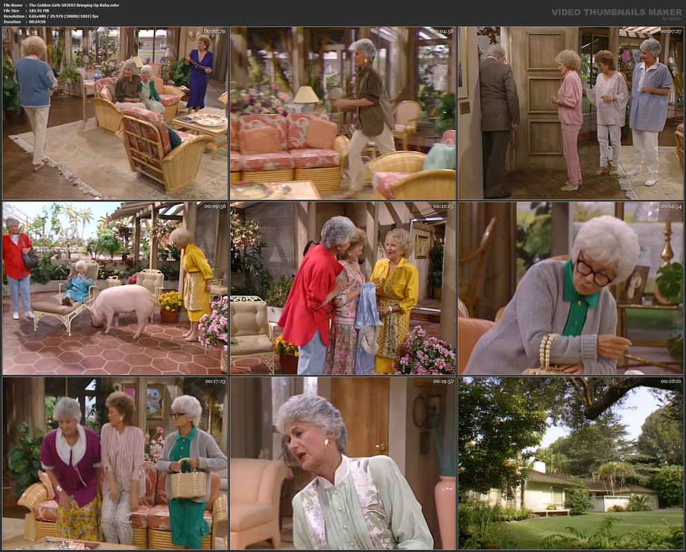 The Golden Girls S03E03 Bringing Up Baby.mkv