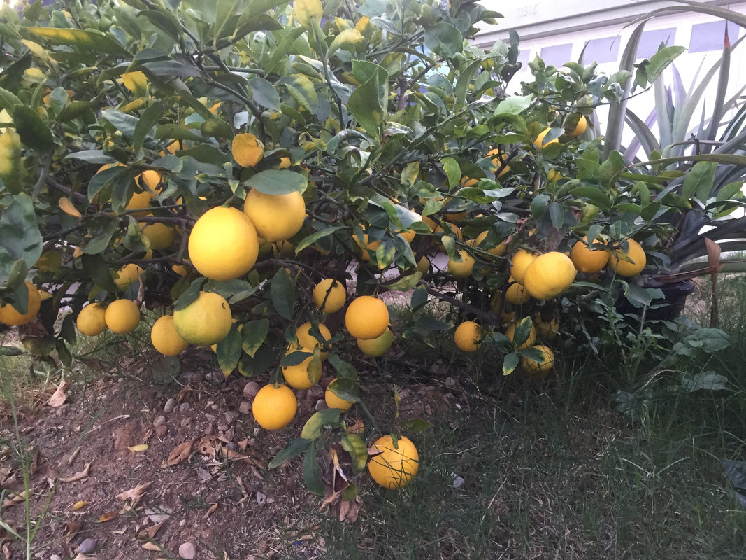 17D144FB-0A85-4381-A94F-28635B858797