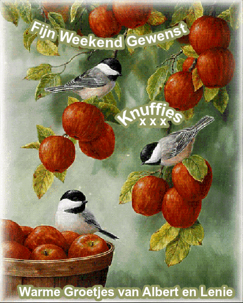 weekend-knuffies-3-koolmeesjes-in-appelboom.gif