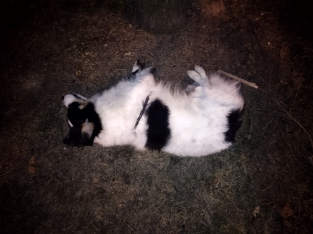 6D299ACD-9A3D-4AB9-8B57-1F36E8C2E9DB