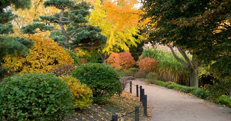 72121997-10157622494615699-984038520035213312-n