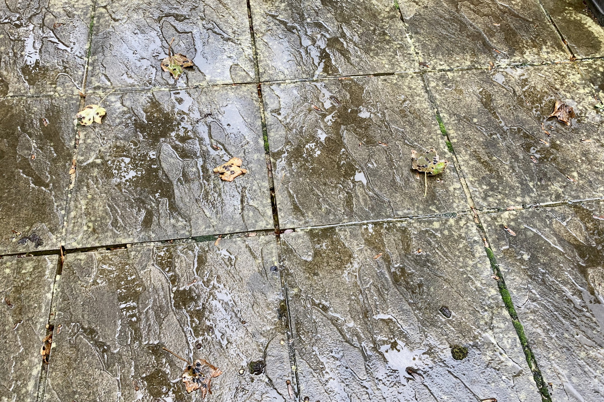 5A6F1CE6-F57E-4E52-BD98-A8085E32D922