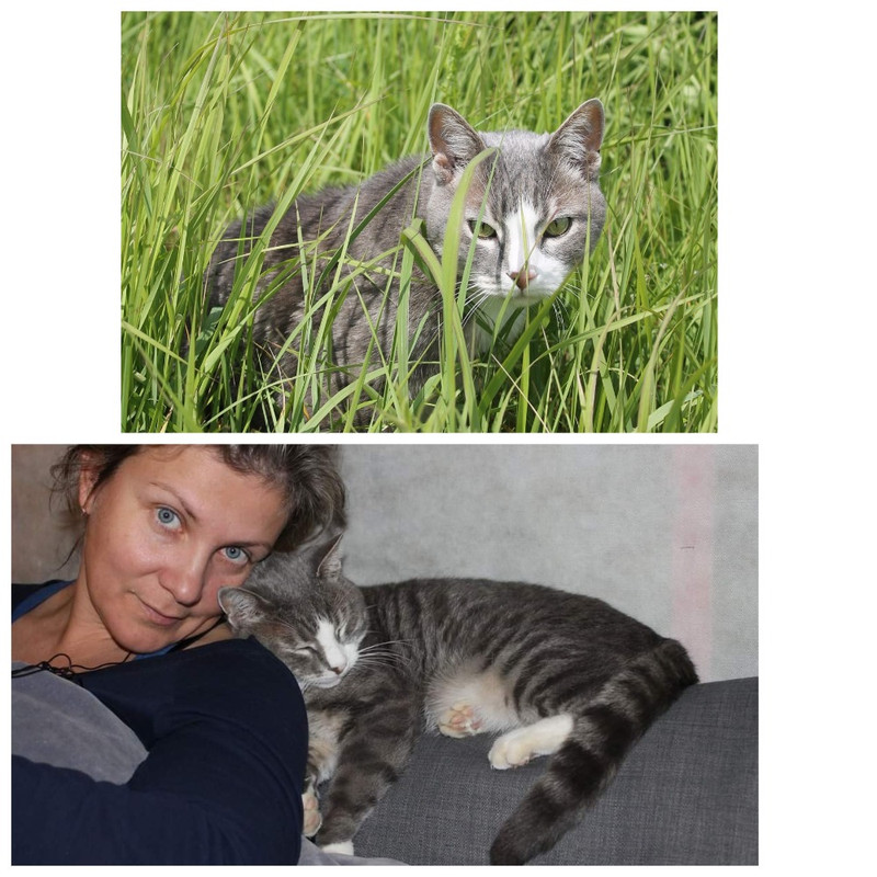 MyCollages - 2025-04-30T214627.386