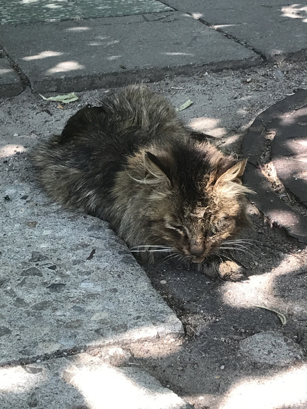 5CE22F32-B352-4336-B33C-97B27FCC48A9