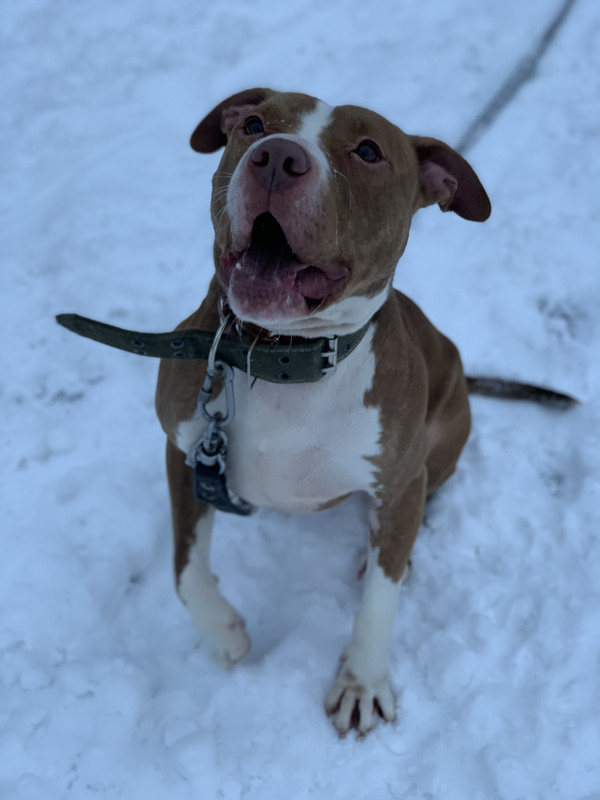 F2B2E9DA-9669-43D3-9A78-7A62FF6D2DB1