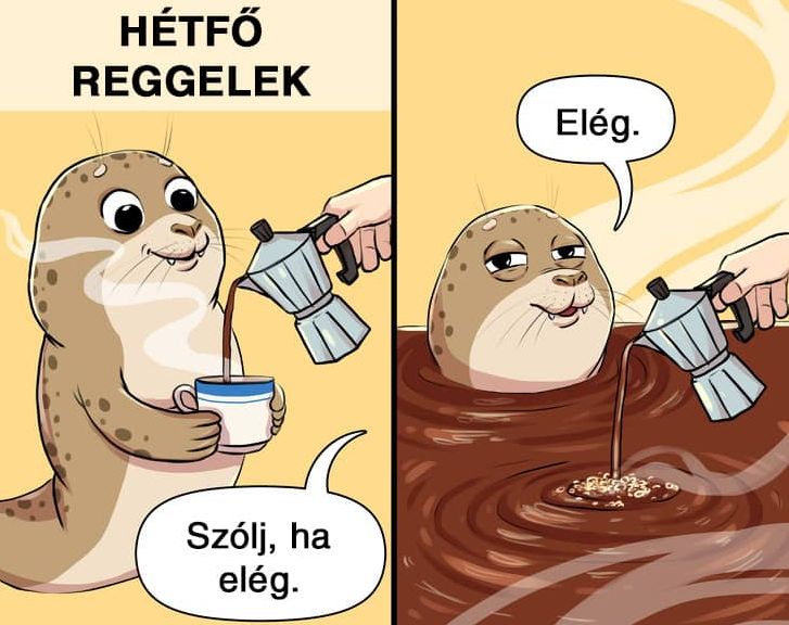 https://i.postimg.cc/tCq8pv3P/hetfo-reggelek.jpg