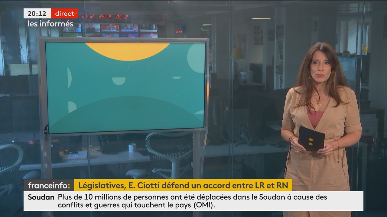 Les informés du soir (Franceinfo)_2024_06_11_19_03_88.ts_snapshot_09.35.180