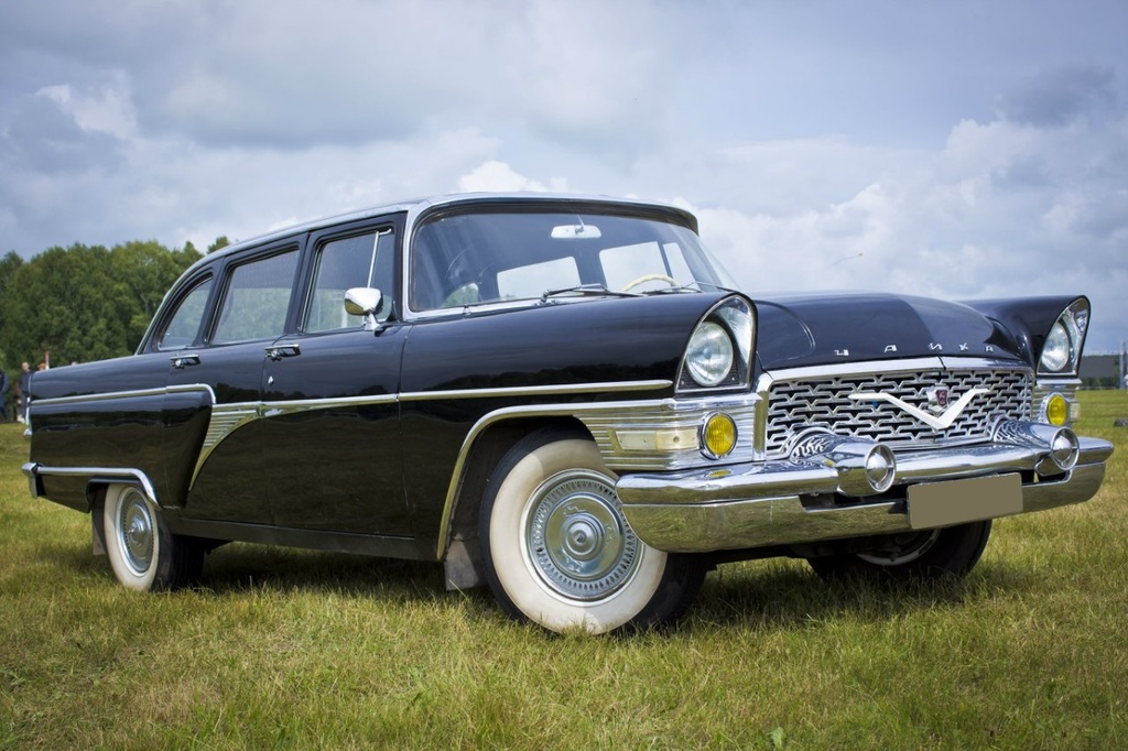 2 чайка черн