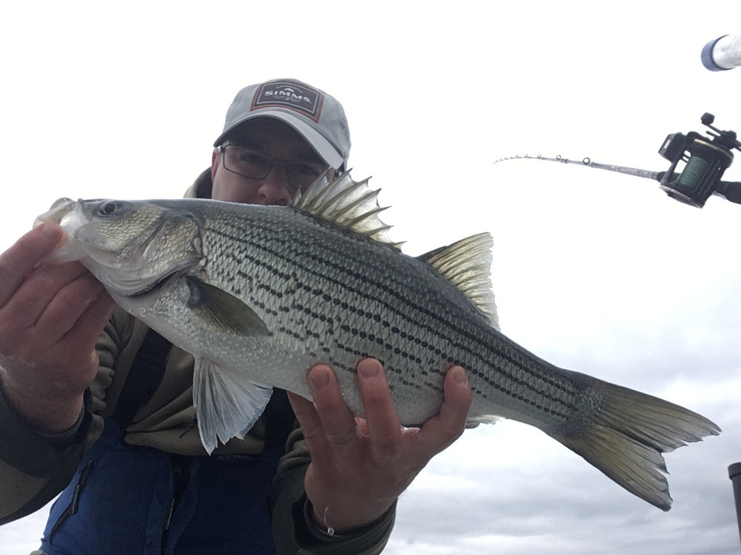 F726DFB3-DC57-407E-9A67-1821B15AD303