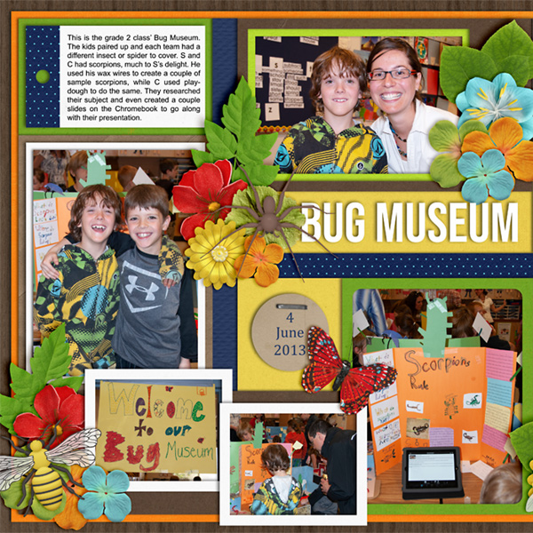 bug-Museum2013-web-left.jpg