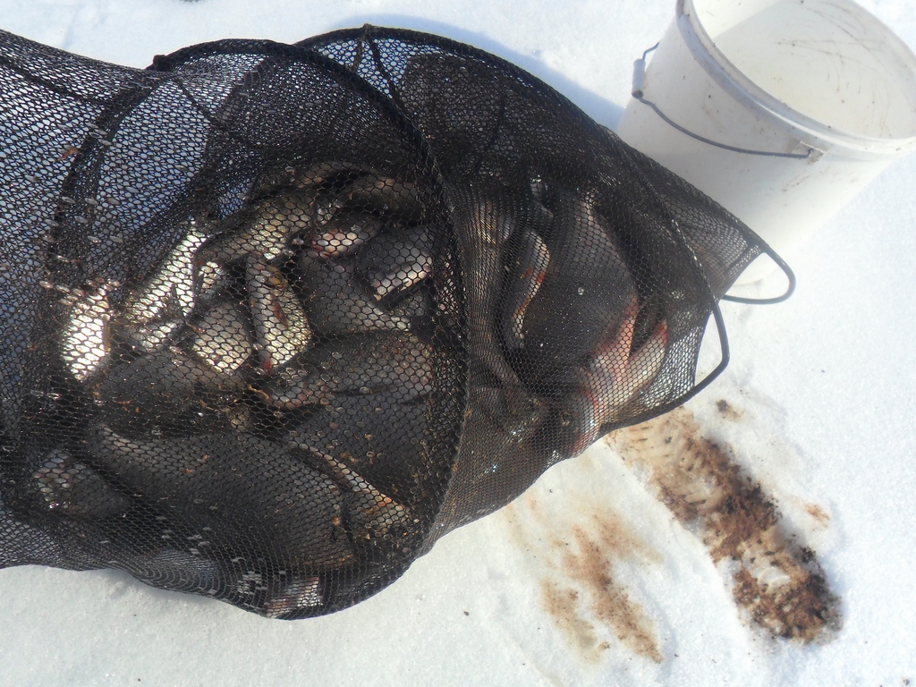 Добрянка 30.03.13 7