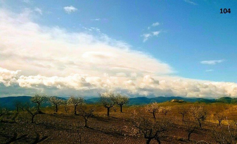 104 Chris Pottle WP_20200119_12_04_22_Pro6