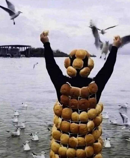 [Linked Image]