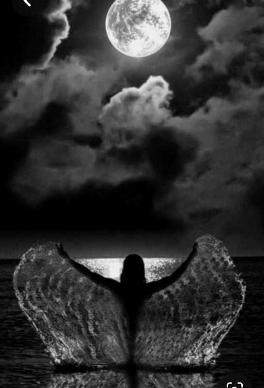 Screenshot_20230729_232416_Pinterest