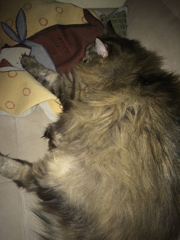 0E1E8351-A1D6-403A-B792-D2331570DE85