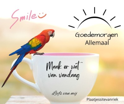 1658738107-Goedemorgen-2