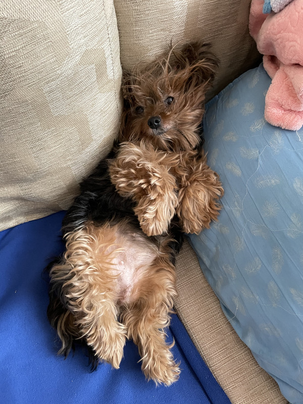 10C0CA7F-A3D2-4319-AD2D-925B2881EAF4