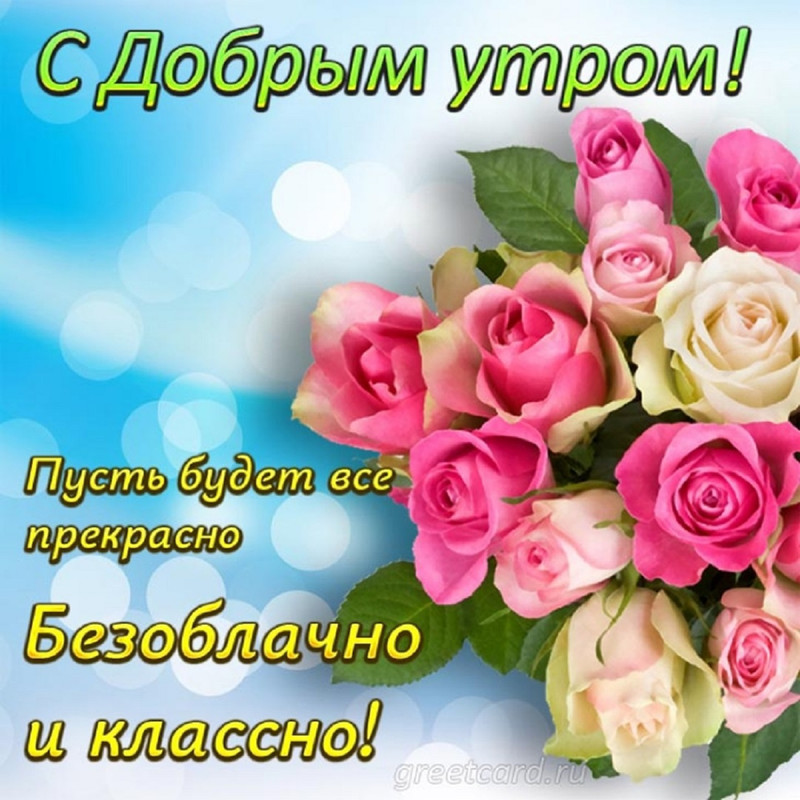 https://i.postimg.cc/tCsCXTPT/IMG-20230110-WA0013.jpg