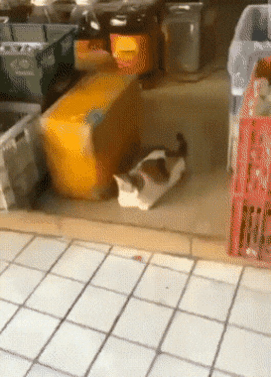 35.gif
