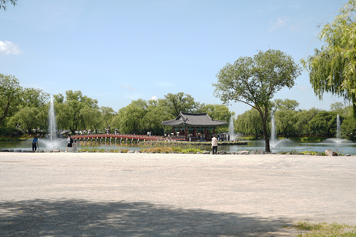 DSC02219