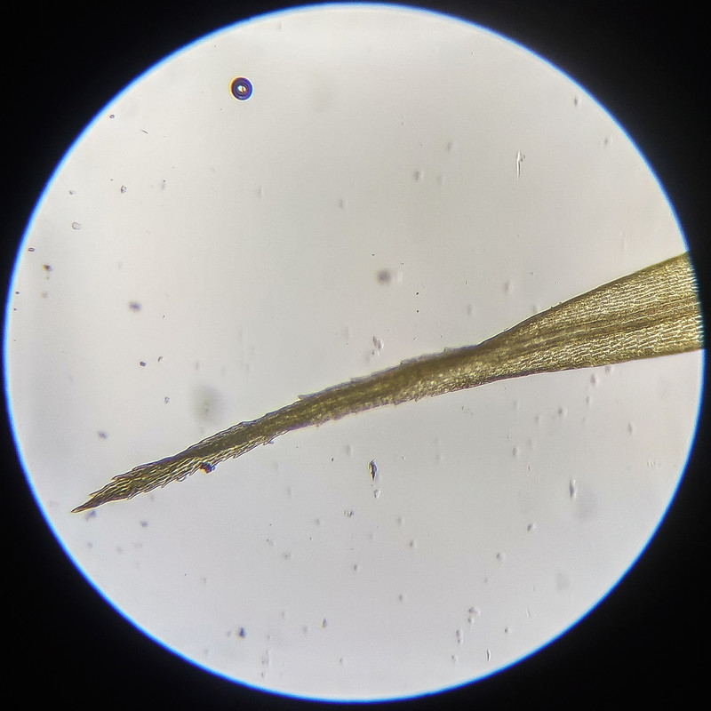 IMG 20250614 111222 HDR