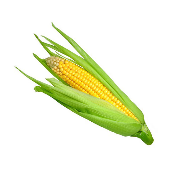 img1