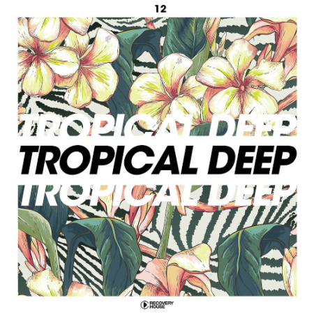 VA - Tropical Deep Vol. 12 (2020)