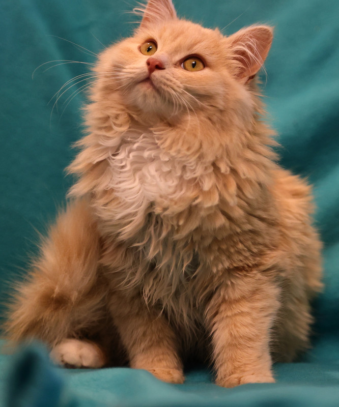 B9986BD7-14F4-4661-AF16-04955FB07B14