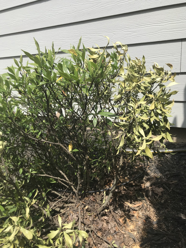 2457B5A5-9B46-4DEA-9E72-2B0D73CA0D90