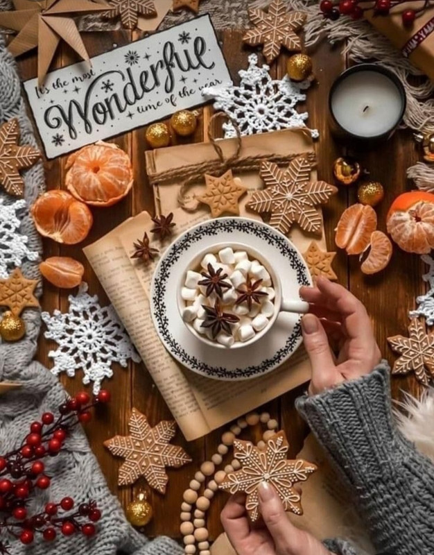 Screenshot_20231204_214023_Pinterest