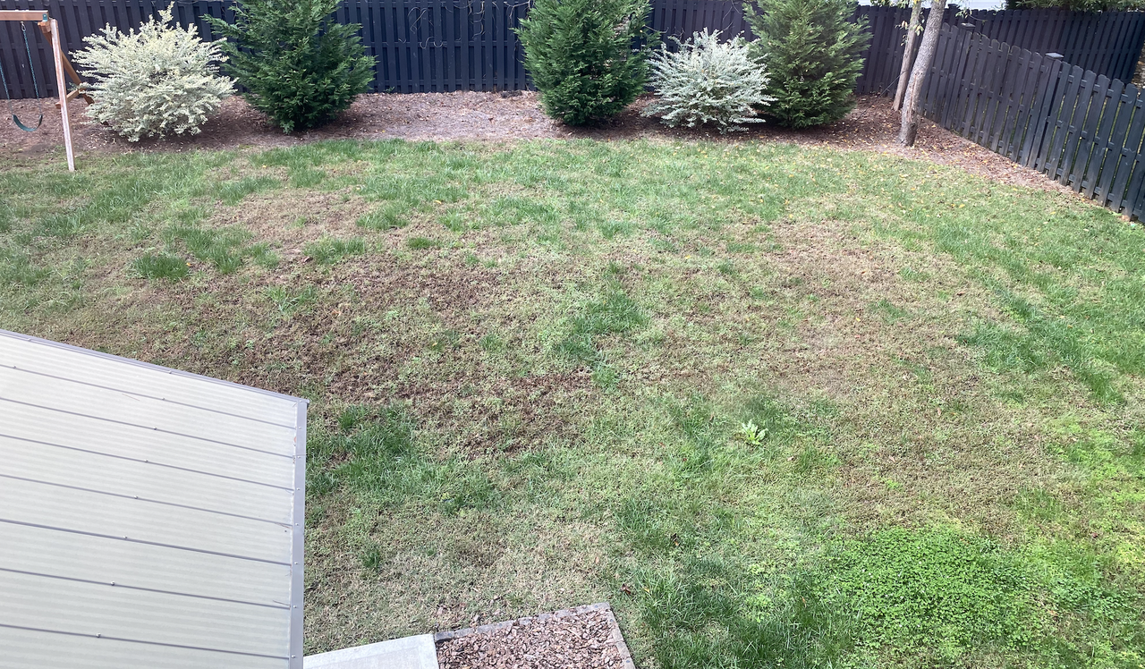 Screen Shot 2020-10-13 at 12.56.59 PM