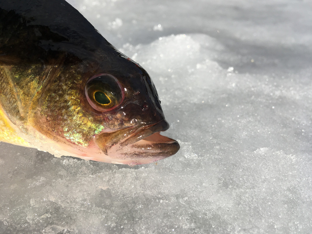 6E489009-EC66-4409-AF4C-390601D28CAD